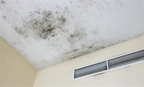 damp patch on ceiling, but no leak|Damp Patch on Ceiling: Causes and Cures